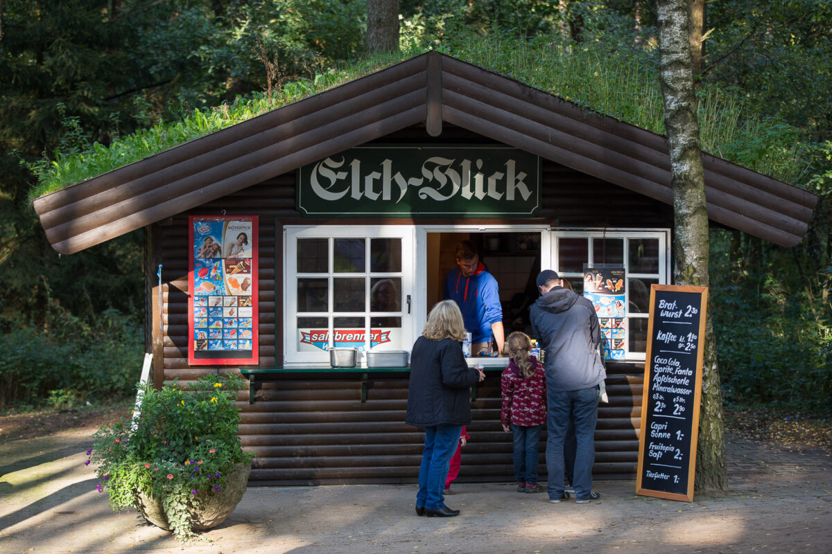 Elchblick-002-1200x800